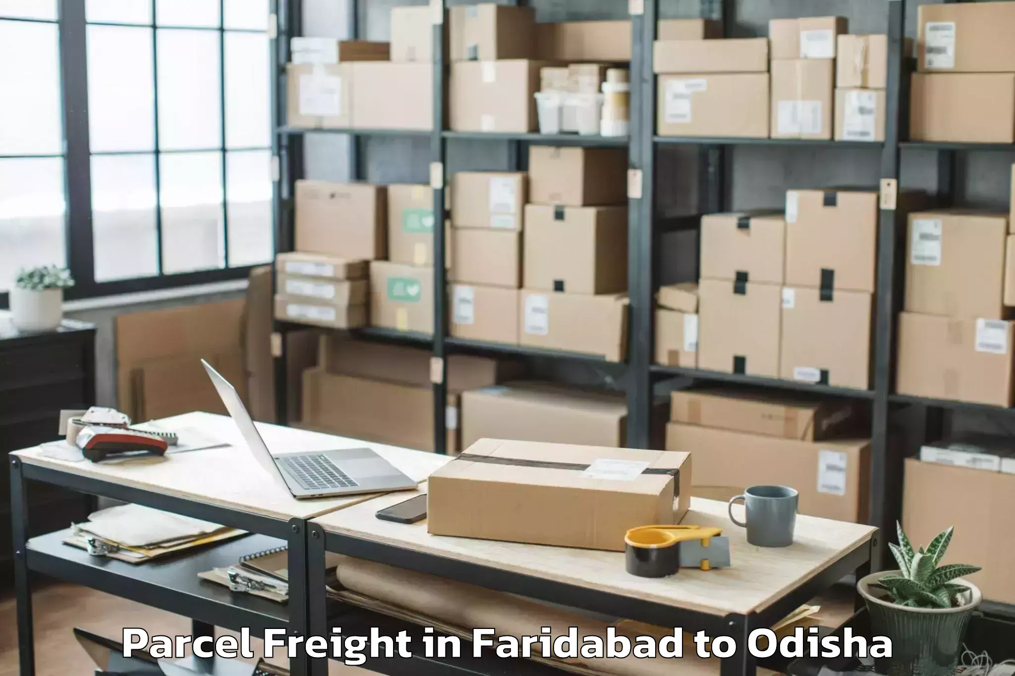 Top Faridabad to Bahalda Parcel Freight Available